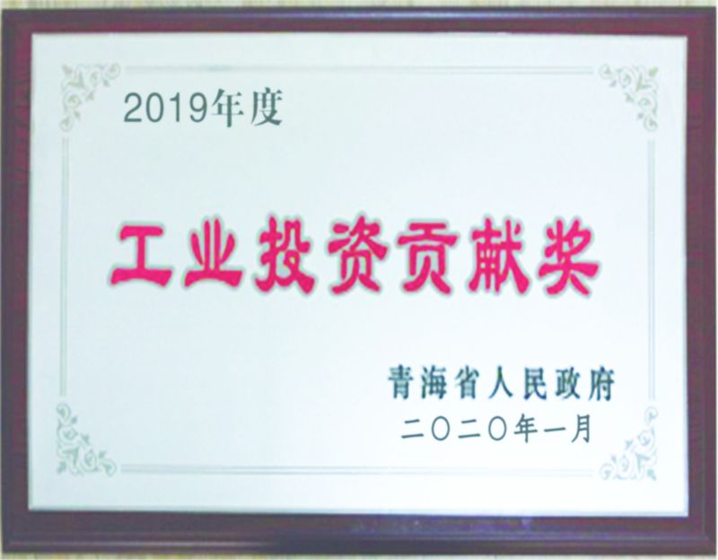 2019年度工業(yè)投資貢獻(xiàn)獎