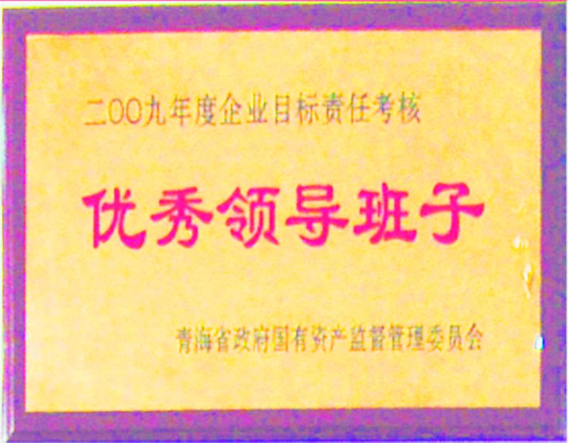 2009年度優(yōu)秀領(lǐng)導班子