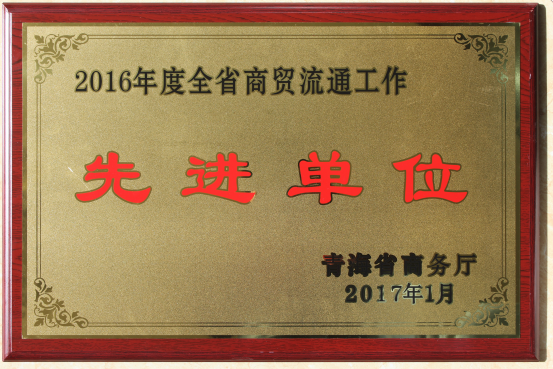 臨空開投公司榮獲2016年度全省商貿(mào)流通工作先進(jìn)單位